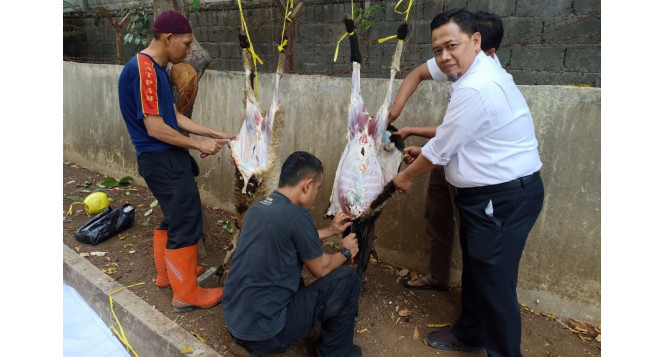 Baznas Jabar distribusikan Hewan Qurban sampai Pelosok Desa