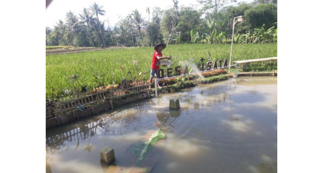 Dukung Kemajuan Ekonomi Mustahik, BAZNAS Jabar Salurkan Bantuan untuk Kelompok Budidaya Ikan