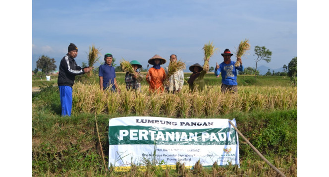 Senyuman Panen Raya Desa Tani Juara Kelompok Bale Kambang Garut