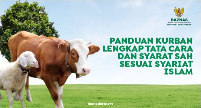 Panduan Kurban Lengkap Tata Cara dan Syarat Sah Sesuai Syariat Islam