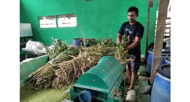 BAZNAS Dorong Inovasi Silase Ramah Lingkungan