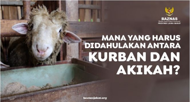 Mana yang harus di dahulukan kurban atau aqiqah ?